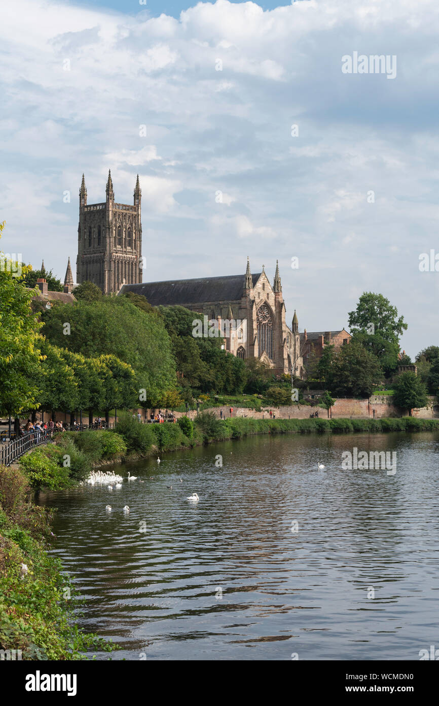 Worcester Cathedra und der River Severn Worcestershire England UK Stockfoto
