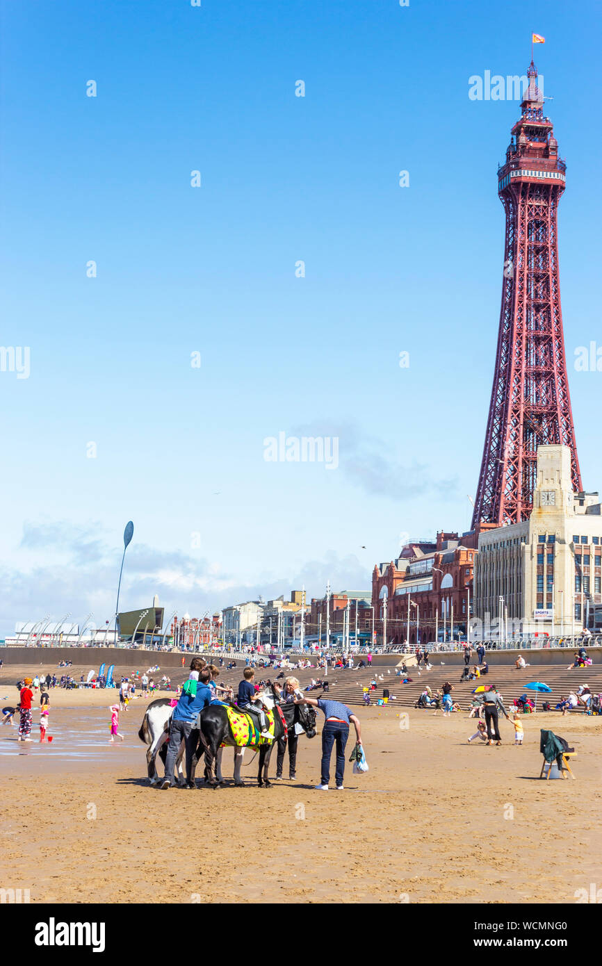 Blackpool, Fylde Coast, Lancashire, England. Eselreiten am Strand und der Blackpool Tower im Hintergrund. Stockfoto