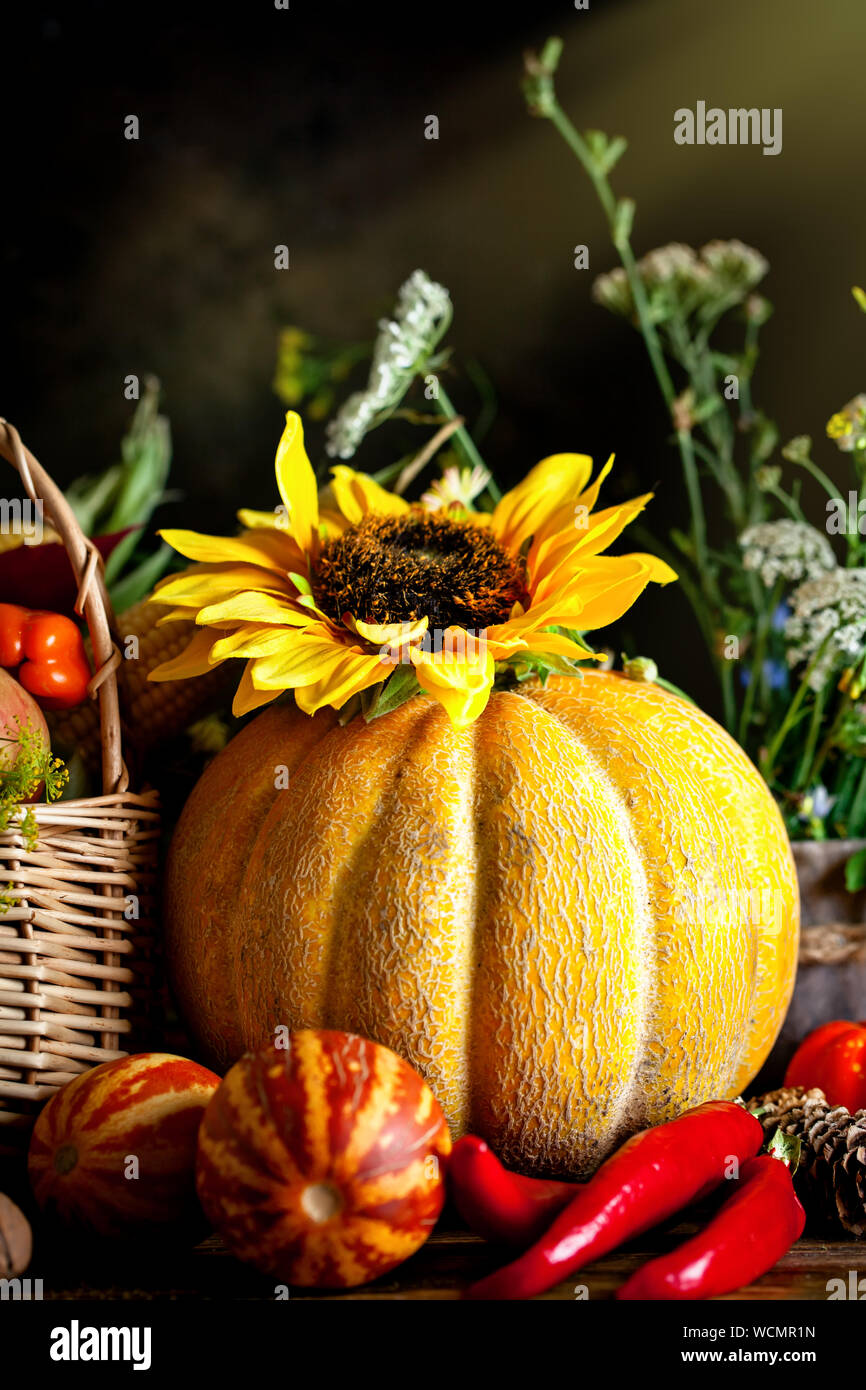 Der hölzerne Tisch mit Obst und Gemüse dekoriert. Harvest Festival. Happy Thanksgiving. Herbst Hintergrund. Selektive konzentrieren. Vertikale. Stockfoto