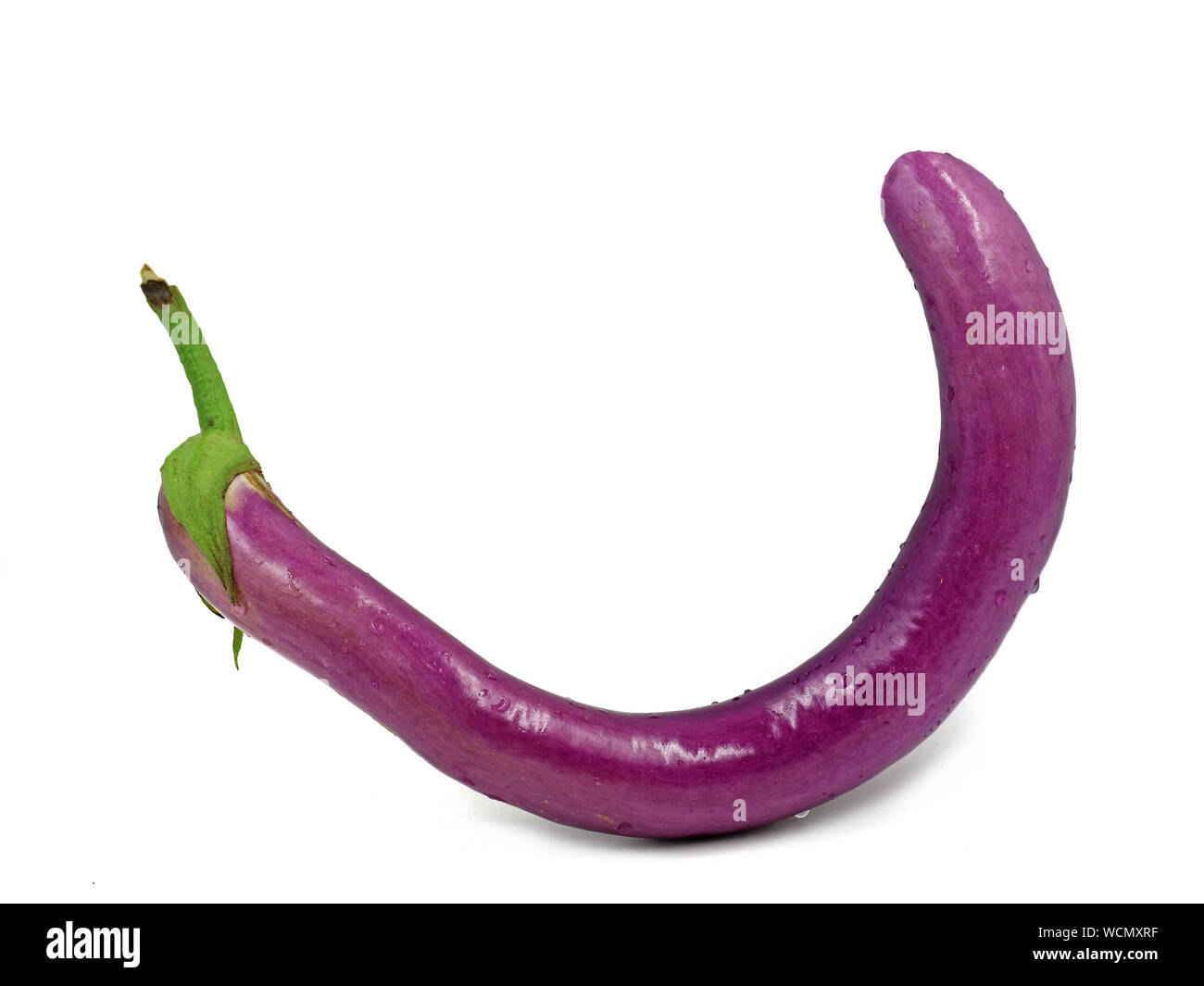 Schlange Aubergine, Urtica' lange Purple', auf weißem Hintergrund Stockfoto