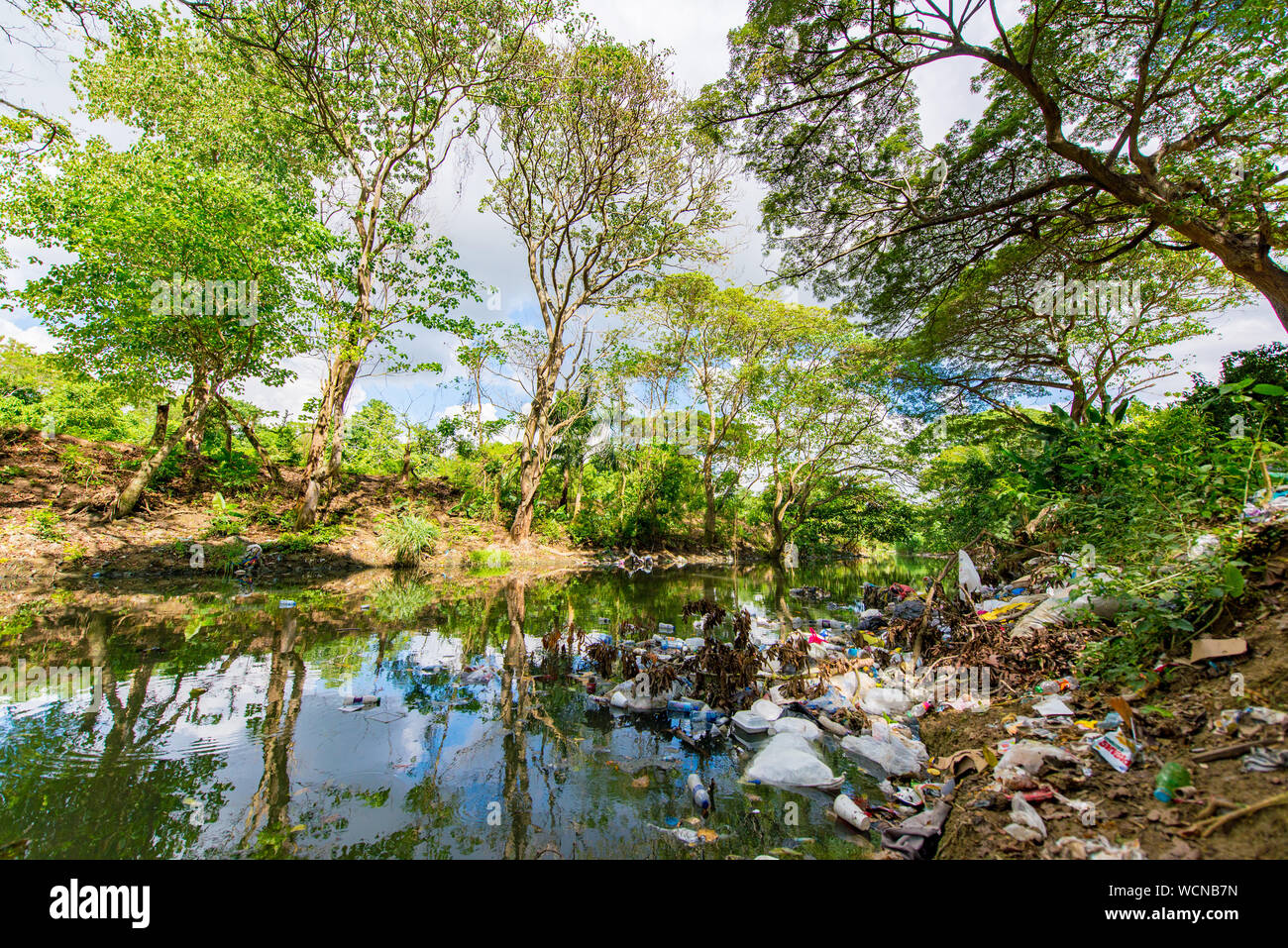 Grüne Ufer mit Bäumen voll Abfall und Müll in Santo Domingo, Republica Dominicana Stockfoto