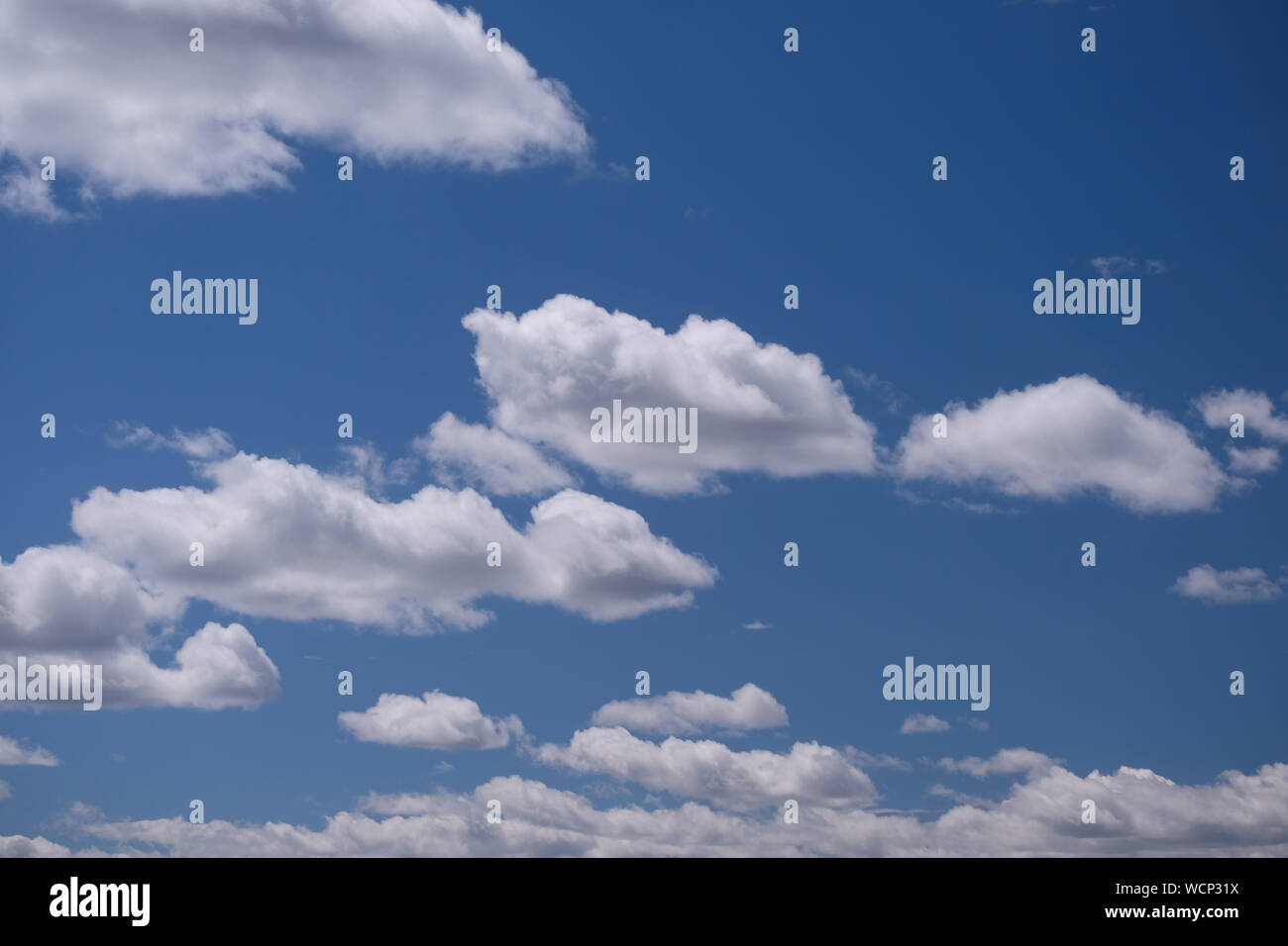 Geschwollene weiße Wolken Stockfoto