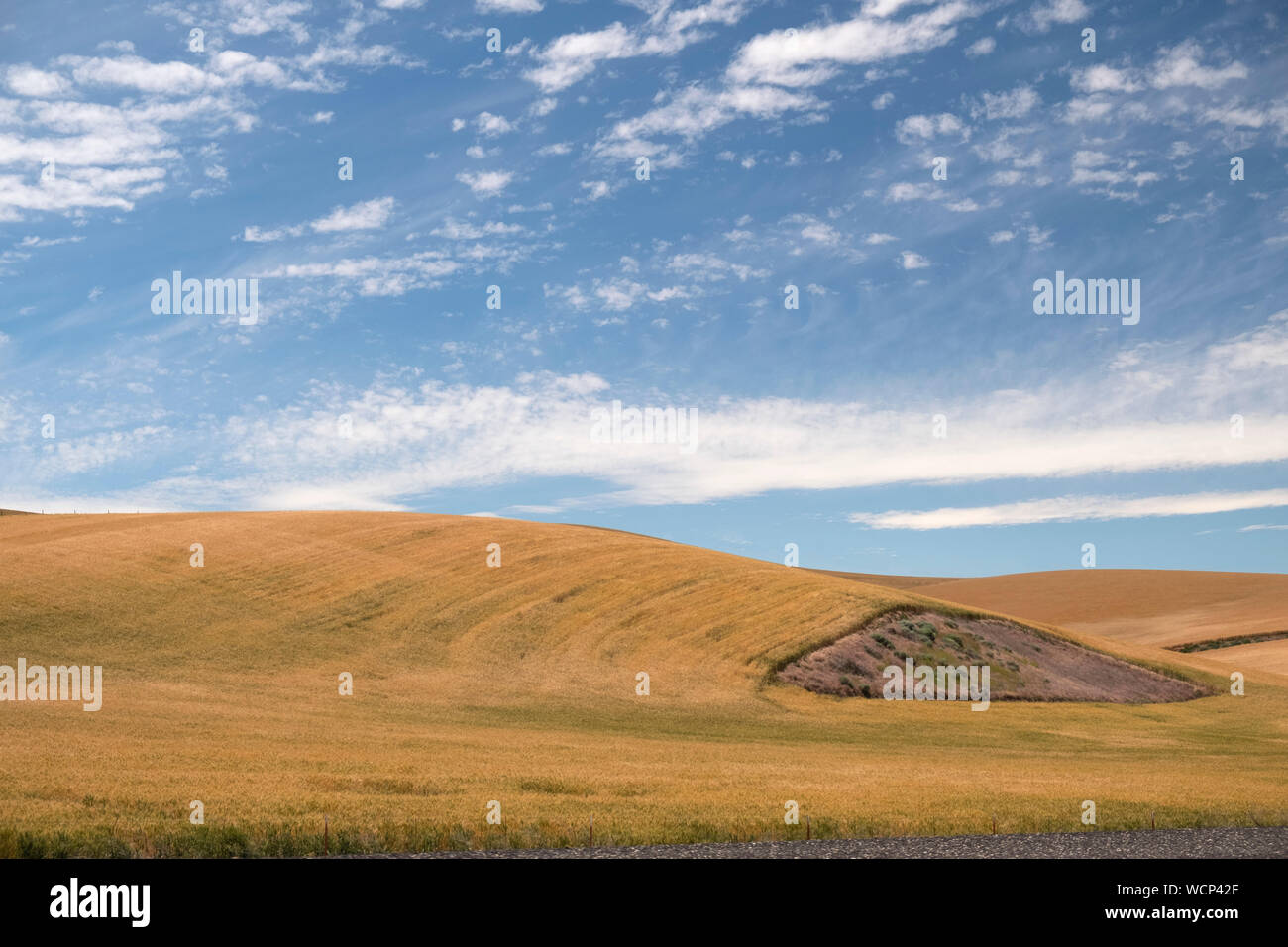 Central Oregon Weizen Land Stockfoto