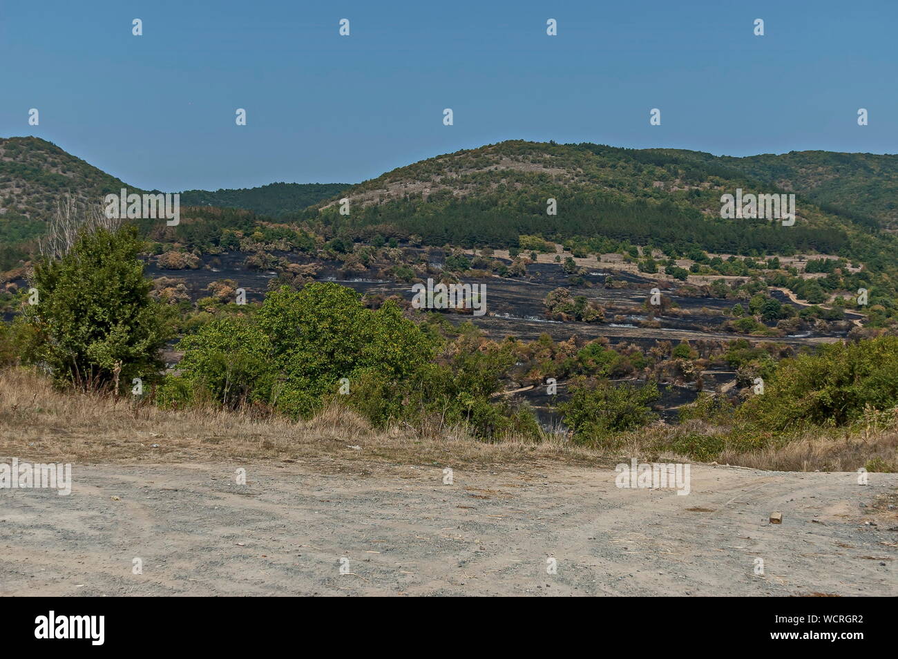 Blick auf nach Waldbrand in der Sredna Gora Gebirge, Bulgarien Stockfoto