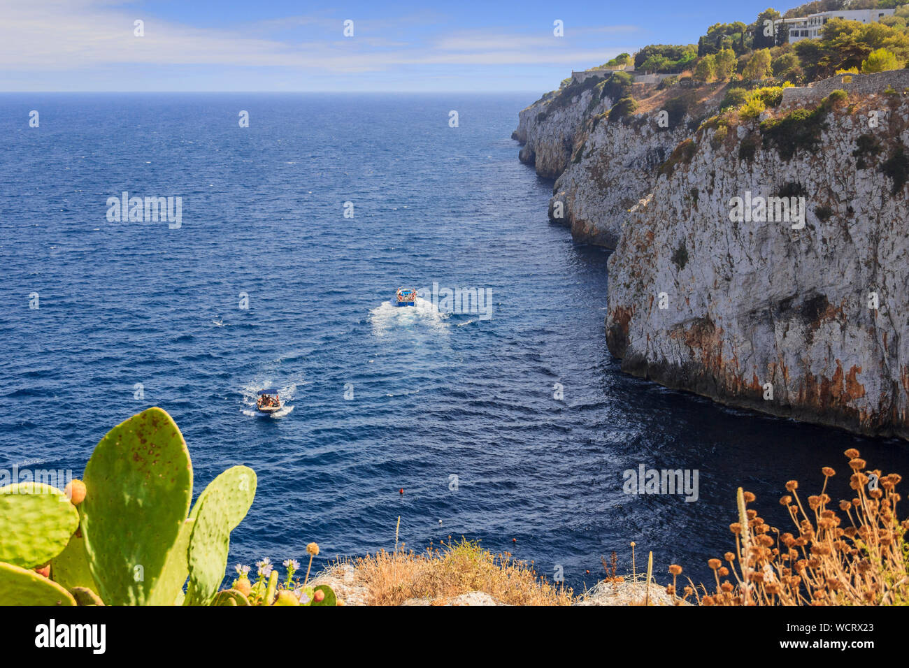 Entdeckung Apulien: Zwischen Castro und Santa Cesarea Terme gibt es die schönsten Küsten des Salento extrem reich an Höhlen und Klippen, (Italien). Stockfoto