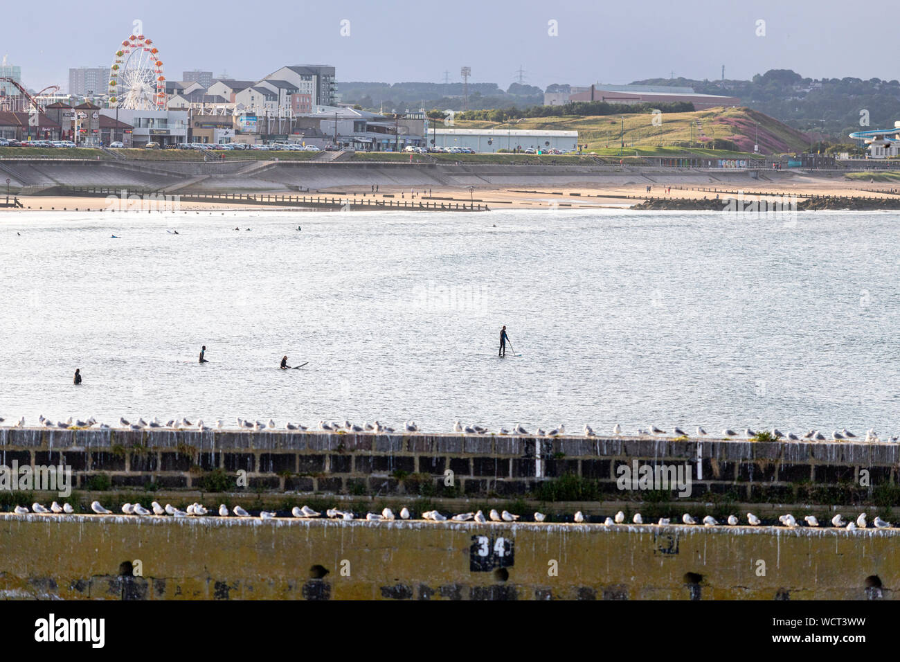 Surfen in der Aberdeen Strand und Möwe in der Pier, Aberdeen, Schottland, Großbritannien Stockfoto