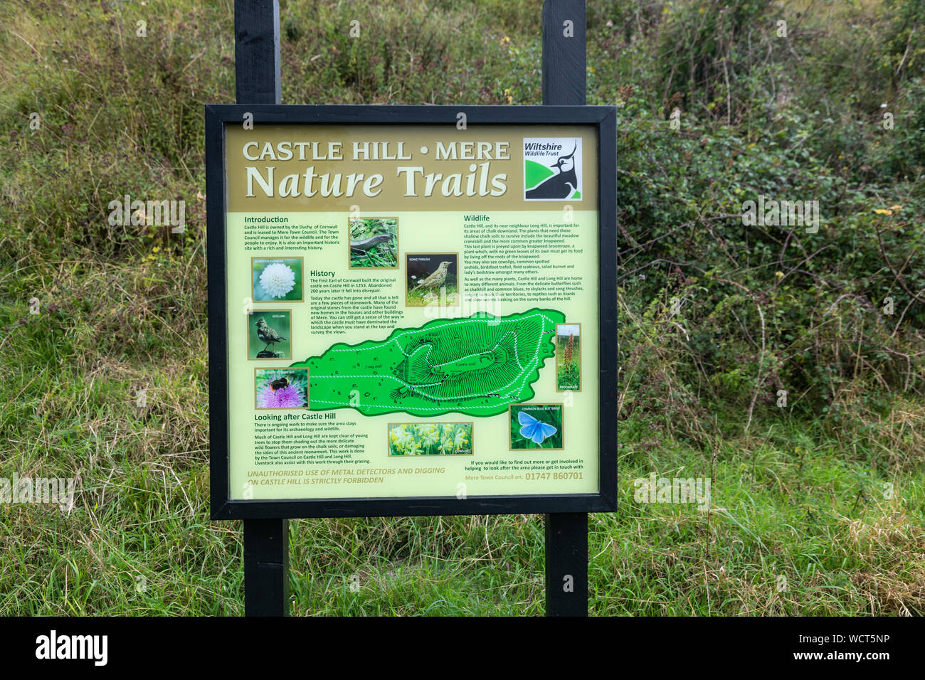 Castle Hill Mere - Naturwanderführer, Mere, Wiltshire, England, Großbritannien Stockfoto