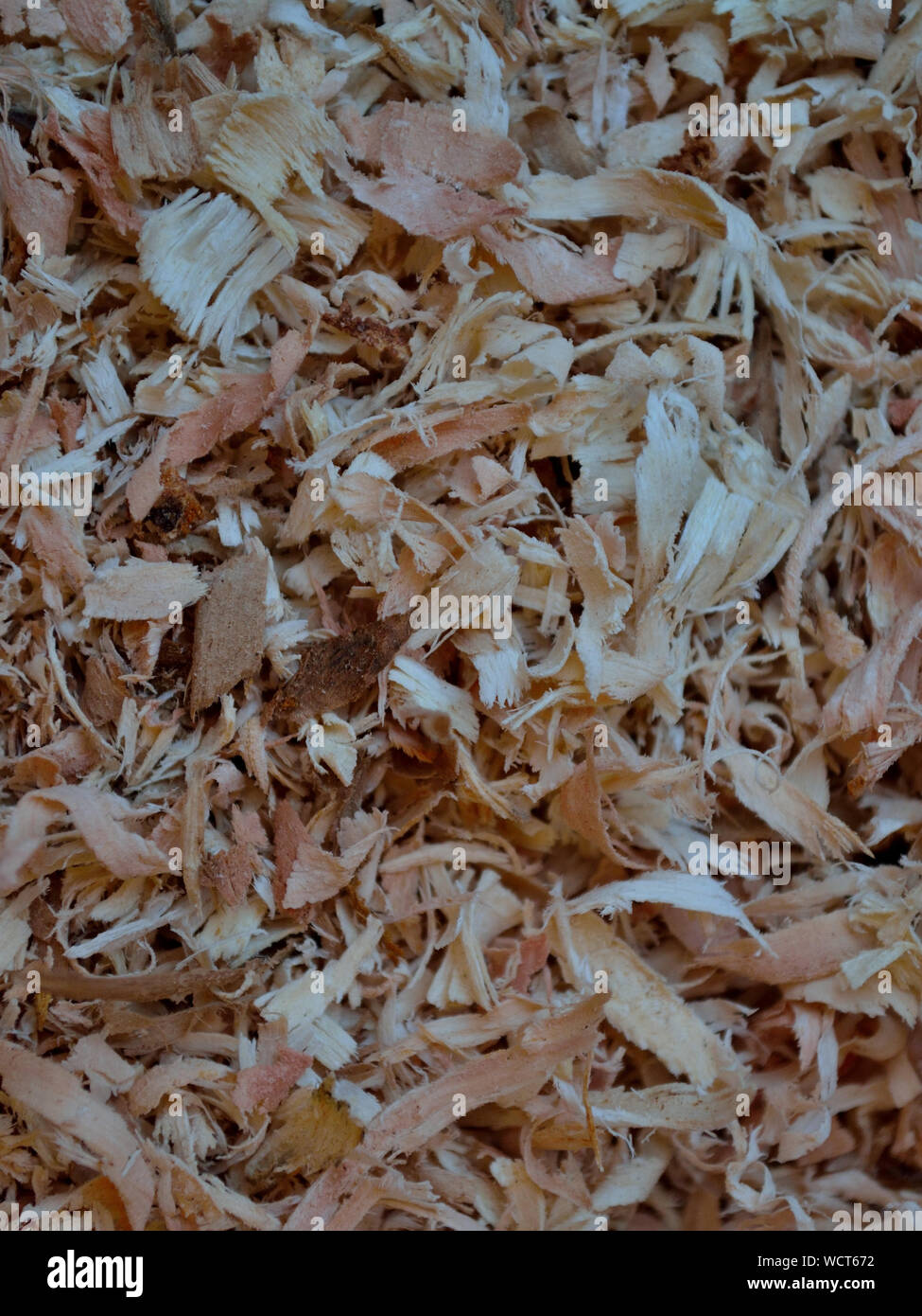 Nahaufnahme der Späne Stockfoto