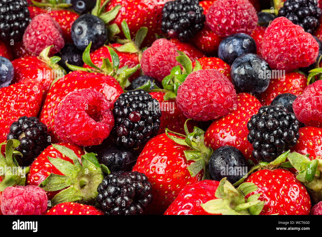 Bunte wohlschmeckende Mischung aus wilden Wald Beerenfrüchten. Erdbeere Heidelbeere Himbeere und Brombeere. gesunde Ernährung Ernährung vegane Ernährung Konzept Hintergrund Stockfoto