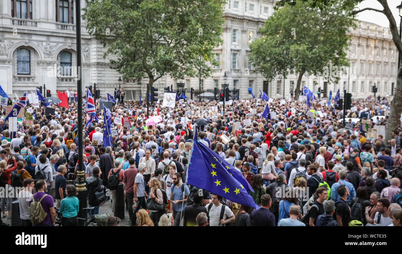 Westminster, London, die demonstranten vor Downing Street. Tausende von empörten Demonstranten versammeln sich in College Green, Parliament Square und später außerhalb der Downing Street in Westminster für eine "Top der Putsch" protestieren gegen den geplanten Vertagung des Parlaments im September, die heute von der Regierung bestellt und von der Queen im Balmoral genehmigt. Credit: Imageplotter/Alamy leben Nachrichten Stockfoto