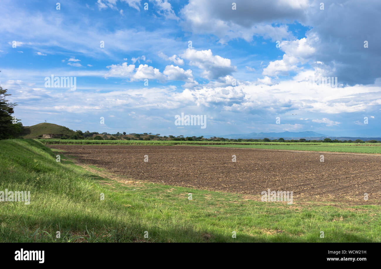 Einen schönen Sommer am Nachmittag uns sehen lässt das Land bereit, neben der Wertschätzung der natürlichen Landschaft kultiviert werden. Valle del Cauca, Kolumbien Stockfoto