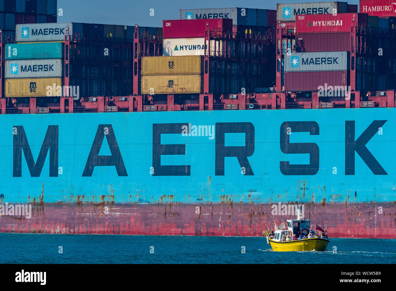 Maersk Line Containerschiff - Harwich Harbour Ferry passiert ein Maersk Containerschiff in den Hafen von Felixstowe in Ostengland. Stockfoto