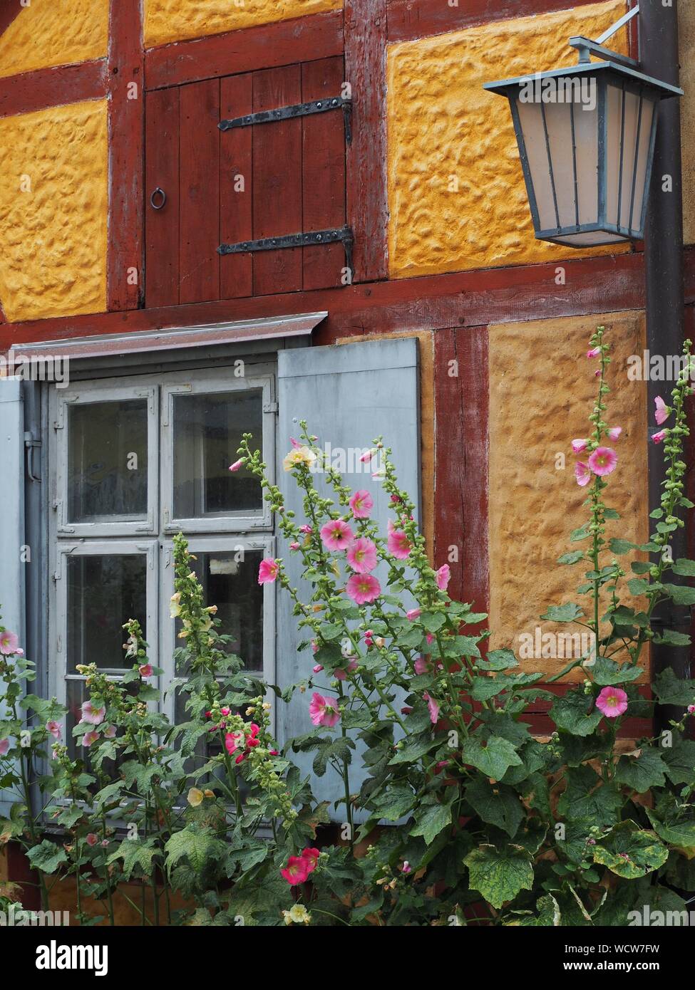 Malerisches altes Rahmenhaus mit von Blumen und einer Lampe dekoriertem Fenster Stockfoto