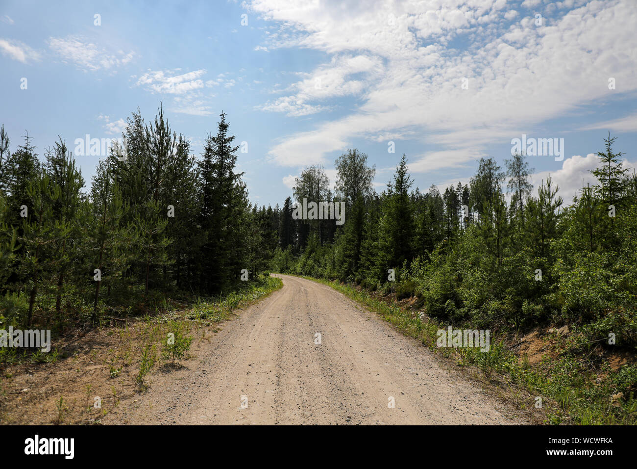 Geschotterte Waldweg im ländlichen Finnland Stockfoto