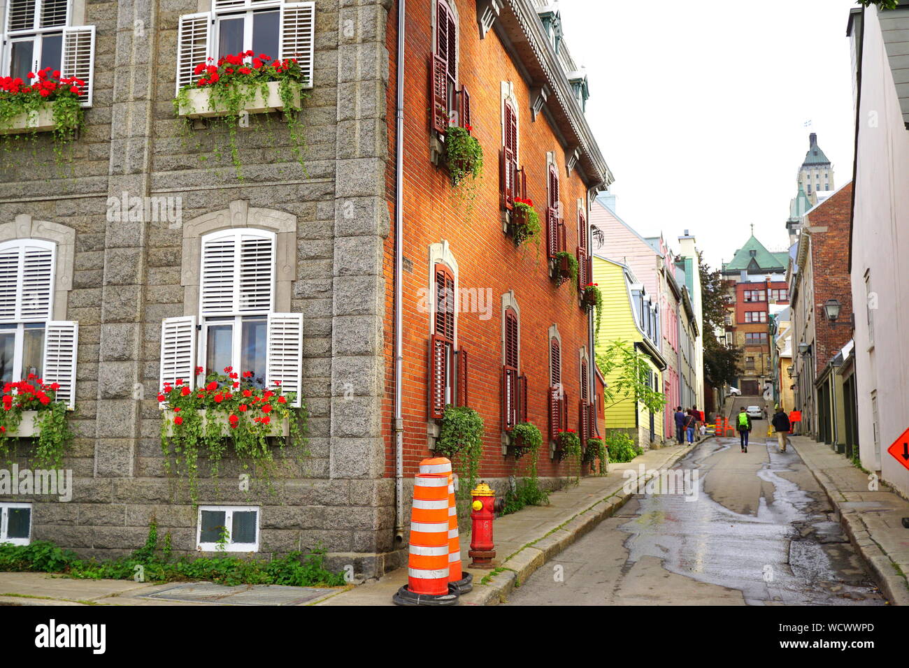 Städtischen Garten, Blumen und Pflanzen hängen auf Fensterbänken, Old Quebec City, Kanada Stockfoto