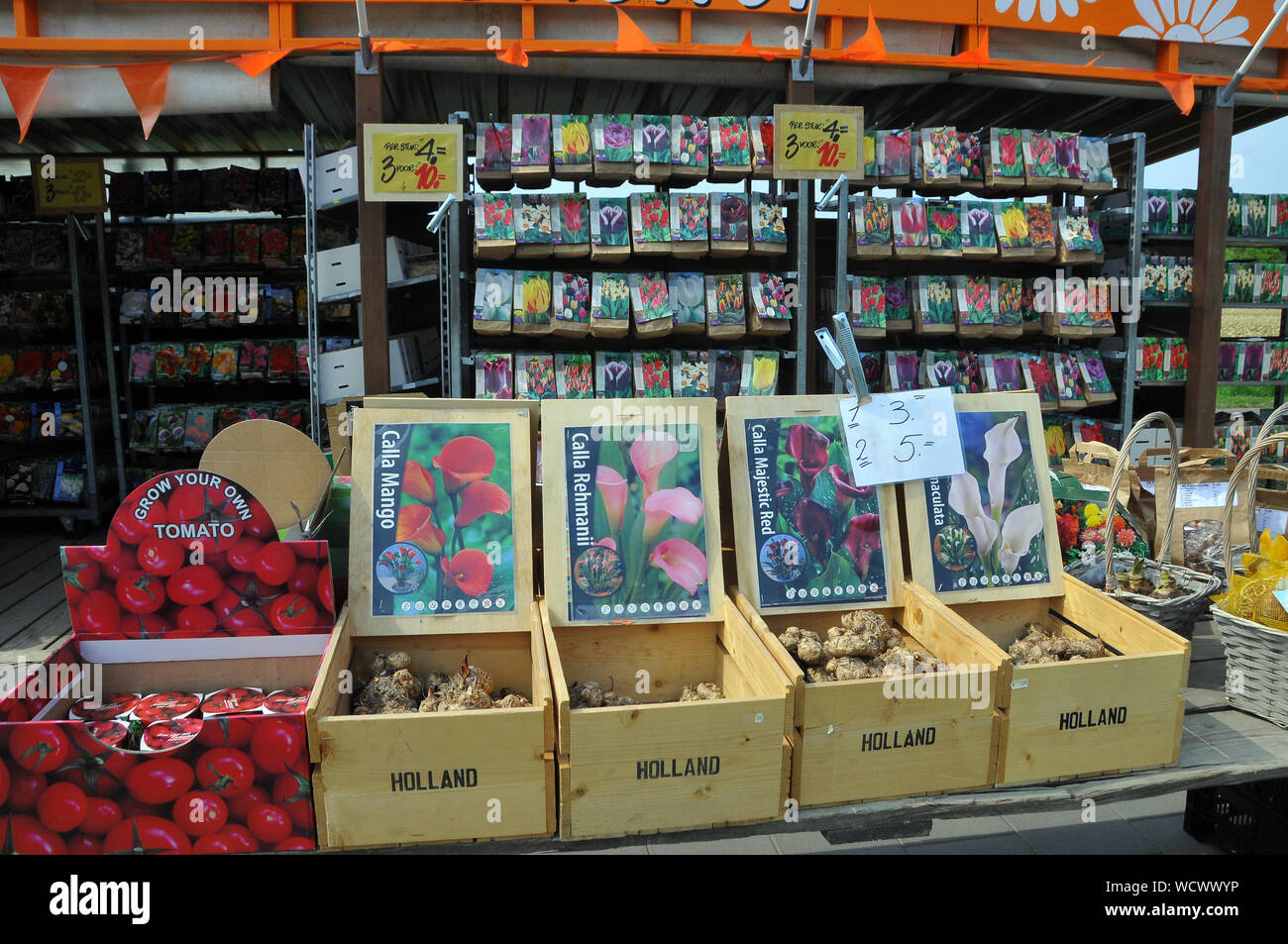 Blumenzwiebeln, Keukenhof, Niederlande, Europa Stockfoto