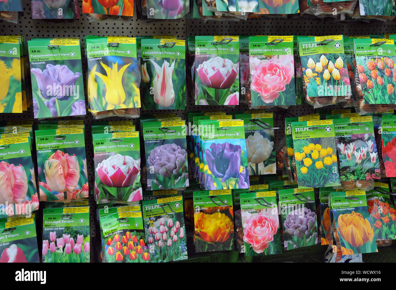Blumenzwiebeln, Keukenhof, Niederlande, Europa Stockfoto