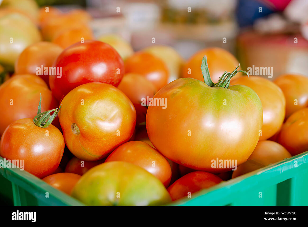 Kiste frisch gepflückte Tomaten an einem Straßenrand produzieren. Stockfoto