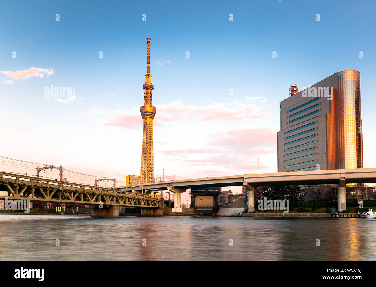 Tokyo Tower Skytree warm beleuchtete durch eine Einstellung Sonne als seeen von der Bank von Sumida River. Eine Eisenbahn Braut ist im Vordergrund sichtbar. Stockfoto