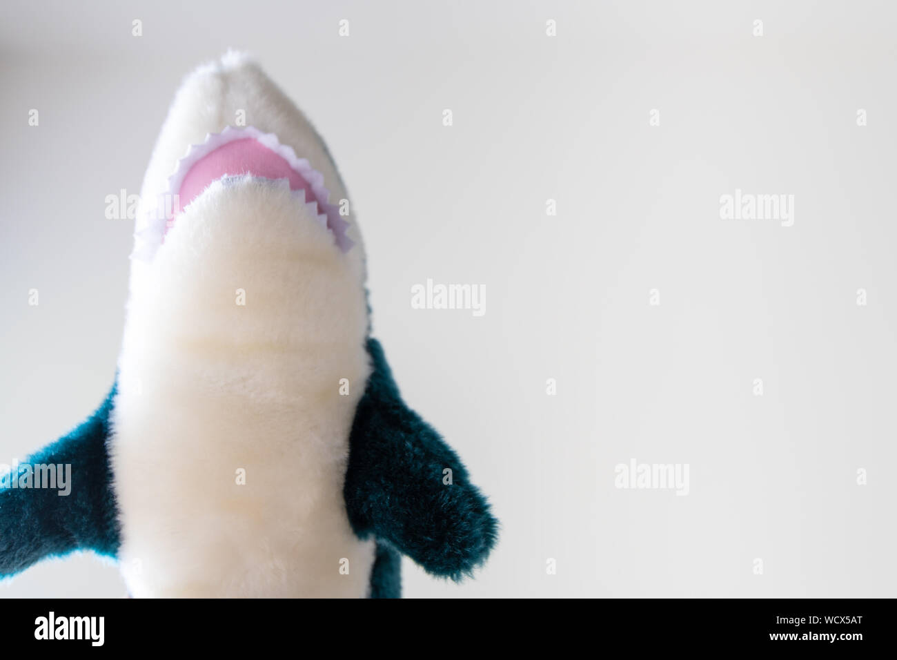 Shark teddy geschossen von unten mit Raum für Text auf der rechten Seite Stockfoto