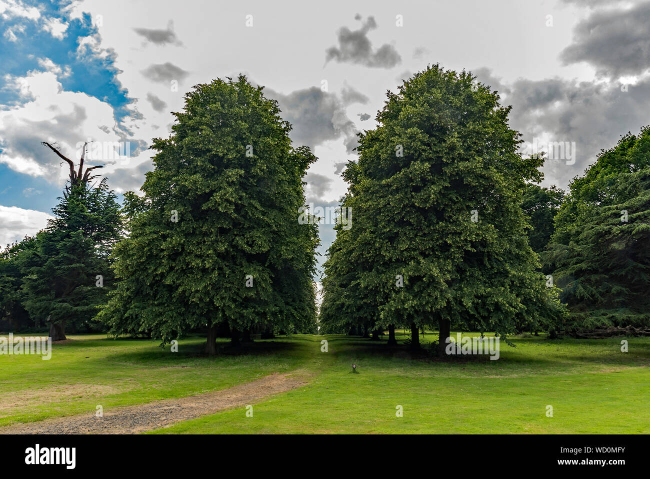 Kalk Lane Ansichten - Cobham Hall - Großbritannien Stockfoto