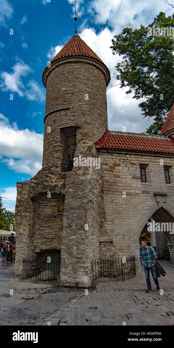 Die alte Stadtmauer in Tallinn Estland Stockfoto