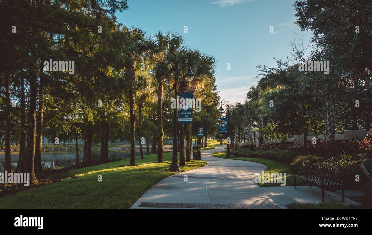 Einer der vielen Wege im Cranes Roost ein outdoor Park in Altamonte Springs, Florida. Stockfoto