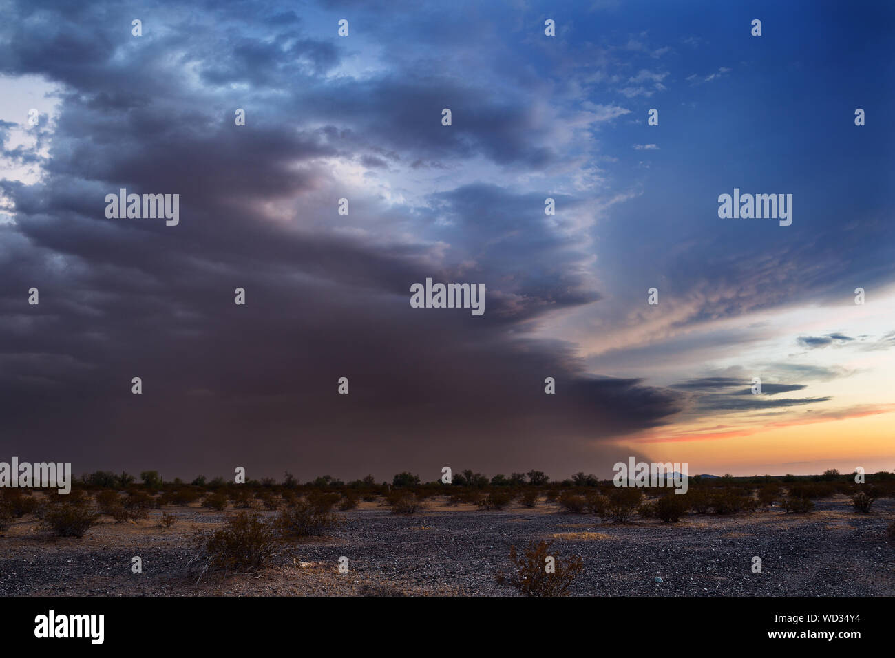 Malerischer Blick auf Sonoran Wüste gegen bewölkter Himmel bei Sonnenuntergang Stockfoto