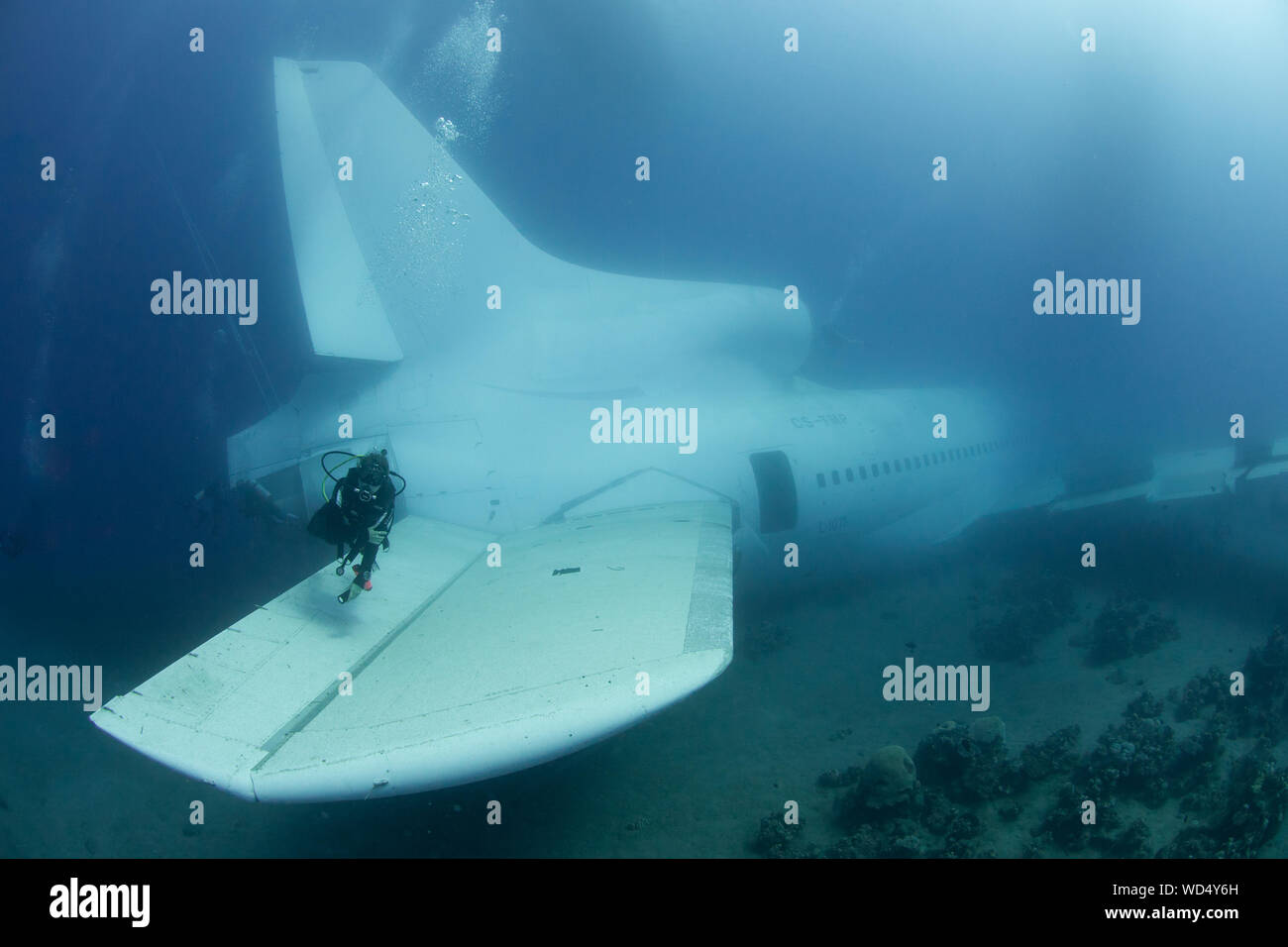 Aqaba, Jordanien. 28 Aug, 2019. Nach 2 Tag der Ruhe auf dem Meeresboden der Die Lockheed L-1011 Tristar schließlich offen ist für Taucher ist. Das Wrack wurde von der Der Aqaba Special Economic Zone Authority (ASEZE) für den Besuch von Taucher als künstliches Riff System und einen neuen Premier Tauchplatz versenkt. Dan Burton, Alamy Credit: Dan Burton Foto/Alamy leben Nachrichten Stockfoto