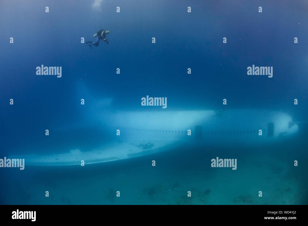 Aqaba, Jordanien. 28 Aug, 2019. Nach 2 Tag der Ruhe auf dem Meeresboden der Die Lockheed L-1011 Tristar schließlich offen ist für Taucher ist. Das Wrack wurde von der Der Aqaba Special Economic Zone Authority (ASEZE) für den Besuch von Taucher als künstliches Riff System und einen neuen Premier Tauchplatz versenkt. Dan Burton, Alamy Credit: Dan Burton Foto/Alamy leben Nachrichten Stockfoto