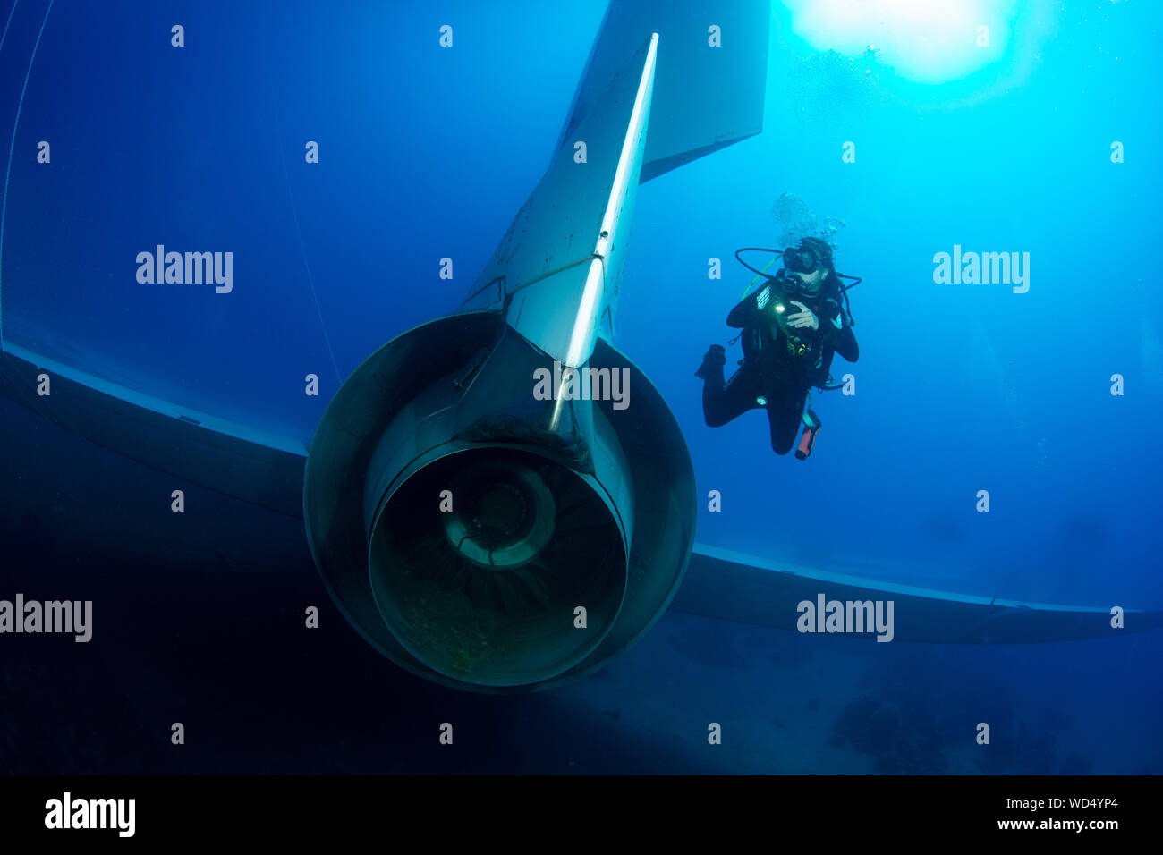 Aqaba, Jordanien. 28 Aug, 2019. Nach 2 Tag der Ruhe auf dem Meeresboden der Die Lockheed L-1011 Tristar schließlich offen ist für Taucher ist. Das Wrack wurde von der Der Aqaba Special Economic Zone Authority (ASEZE) für den Besuch von Taucher als künstliches Riff System und einen neuen Premier Tauchplatz versenkt. Dan Burton, Alamy Credit: Dan Burton Foto/Alamy leben Nachrichten Stockfoto
