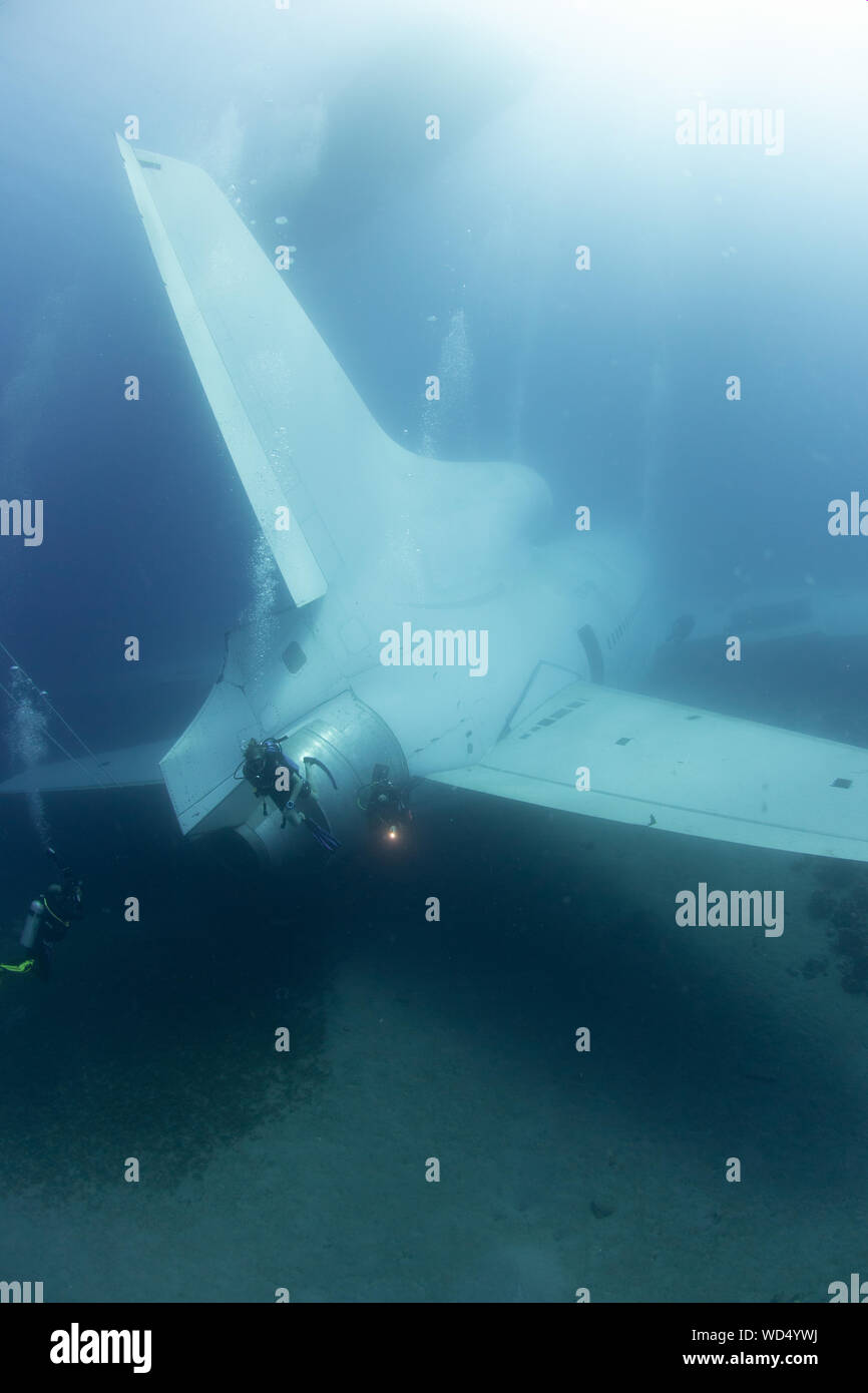 Aqaba, Jordanien. 28 Aug, 2019. Nach 2 Tag der Ruhe auf dem Meeresboden der Die Lockheed L-1011 Tristar schließlich offen ist für Taucher ist. Das Wrack wurde von der Der Aqaba Special Economic Zone Authority (ASEZE) für den Besuch von Taucher als künstliches Riff System und einen neuen Premier Tauchplatz versenkt. Dan Burton, Alamy Credit: Dan Burton Foto/Alamy leben Nachrichten Stockfoto