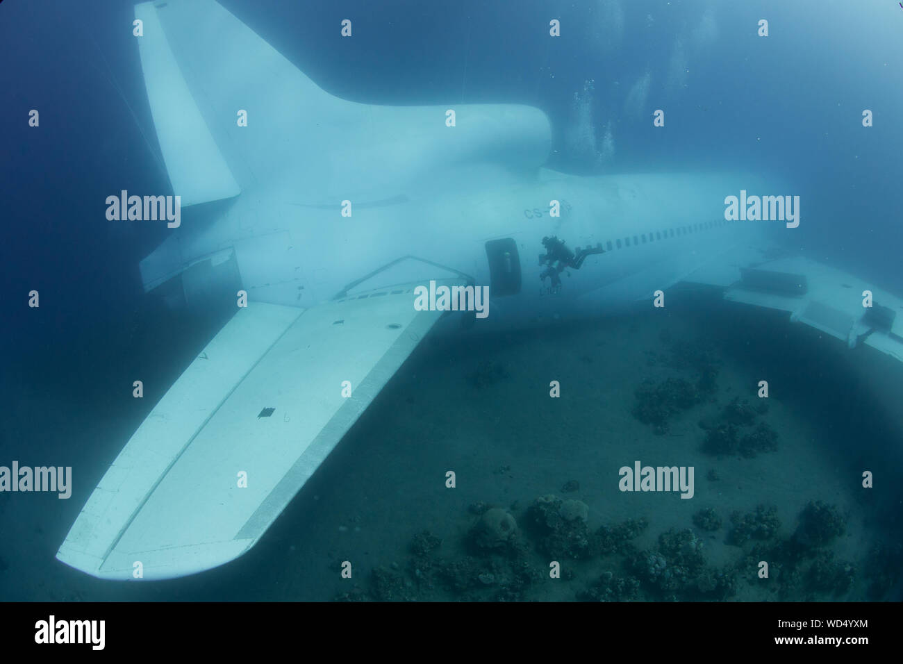 Aqaba, Jordanien. 28 Aug, 2019. Nach 2 Tag der Ruhe auf dem Meeresboden der Die Lockheed L-1011 Tristar schließlich offen ist für Taucher ist. Das Wrack wurde von der Der Aqaba Special Economic Zone Authority (ASEZE) für den Besuch von Taucher als künstliches Riff System und einen neuen Premier Tauchplatz versenkt. Dan Burton, Alamy Credit: Dan Burton Foto/Alamy leben Nachrichten Stockfoto