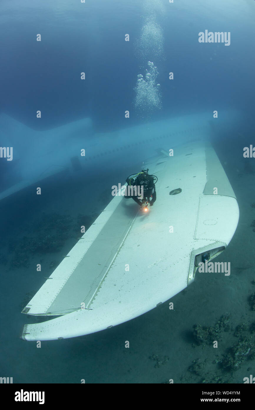 Aqaba, Jordanien. 28 Aug, 2019. Nach 2 Tag der Ruhe auf dem Meeresboden der Die Lockheed L-1011 Tristar schließlich offen ist für Taucher ist. Das Wrack wurde von der Der Aqaba Special Economic Zone Authority (ASEZE) für den Besuch von Taucher als künstliches Riff System und einen neuen Premier Tauchplatz versenkt. Dan Burton, Alamy Credit: Dan Burton Foto/Alamy leben Nachrichten Stockfoto