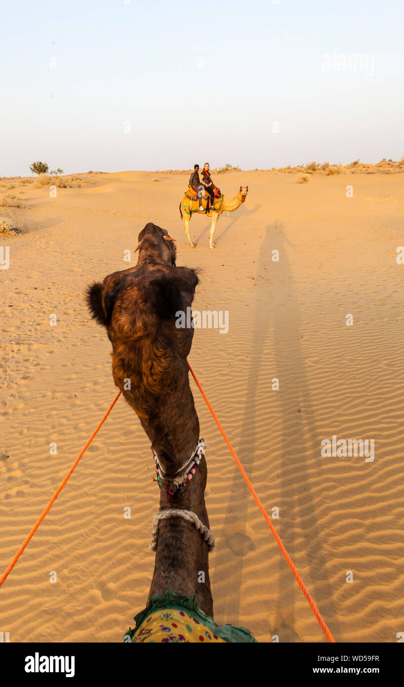 Die Aussicht während der Fahrt ein Kamel in der Wüste Thar und Umgang mit anderen Mitreisenden im östlichen Rajasthan, Indien. Stockfoto