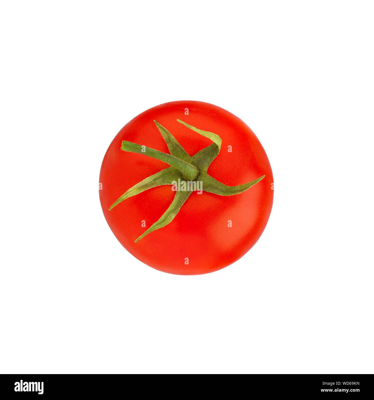Eine rote reife Tomate mit grünen Blätter und Stengel auf weißem Hintergrund, einzelne Schöne ganze Tomate Draufsicht, Design Element für Etikett Stockfoto