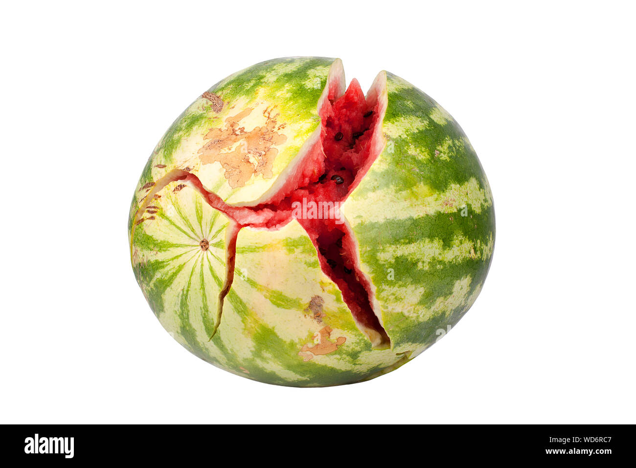 Gebrochene Wassermelone auf weißem Hintergrund Nahaufnahme Stockfoto