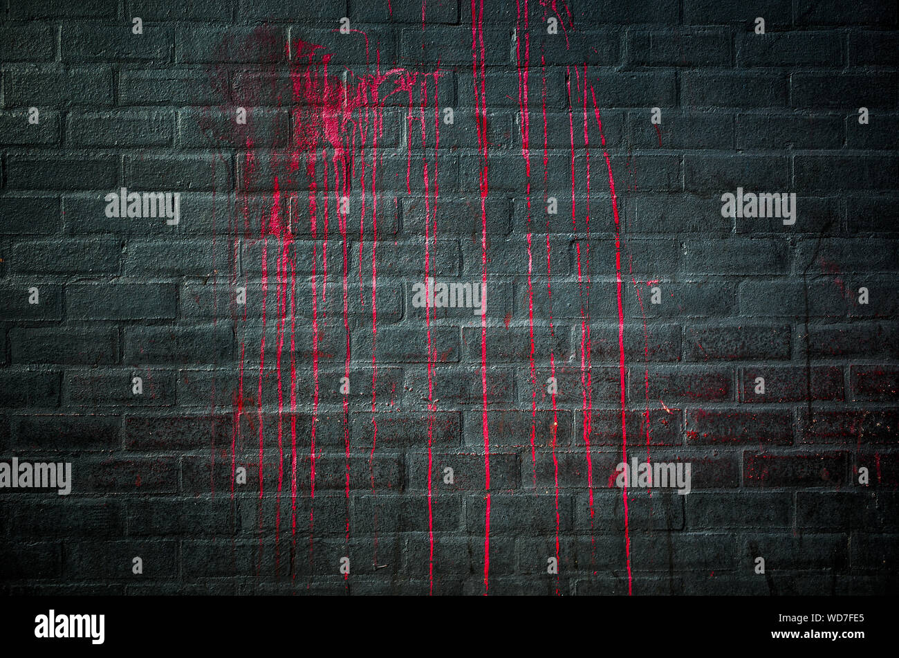 Rote Farbe tropft auf schwarze Wand Hintergrund. Stockfoto
