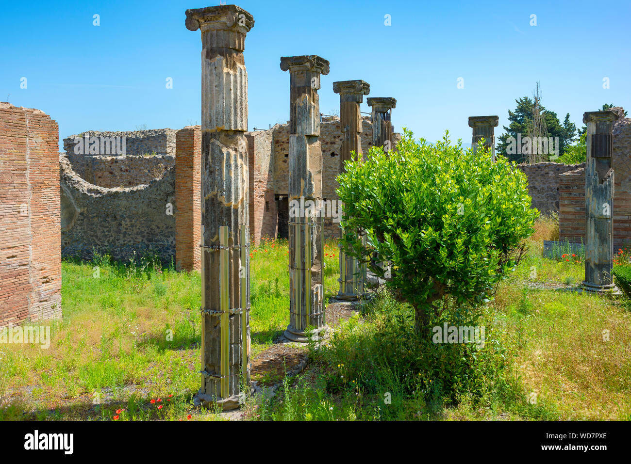 Die ausgegrabenen Gebäuden, Säulen und Ruinen der antiken Stadt Pompeji, Neapel, Kampanien, Italien Stockfoto