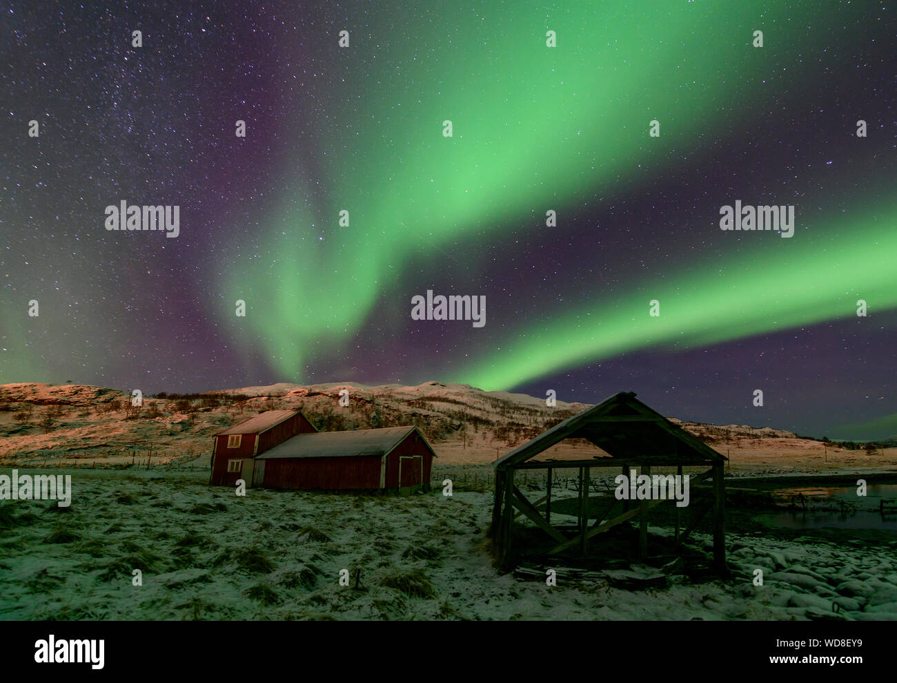 Polar Licht, Nordlicht, Aurora borealis, Kvaloyvagen, Norwegen, Atlantik Stockfoto