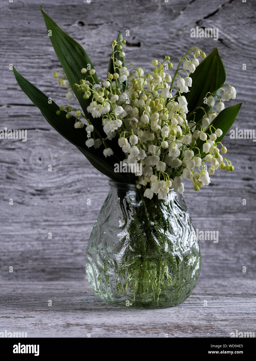 Maiglöckchen In Vase Stockfotos und -bilder Kaufen - Alamy