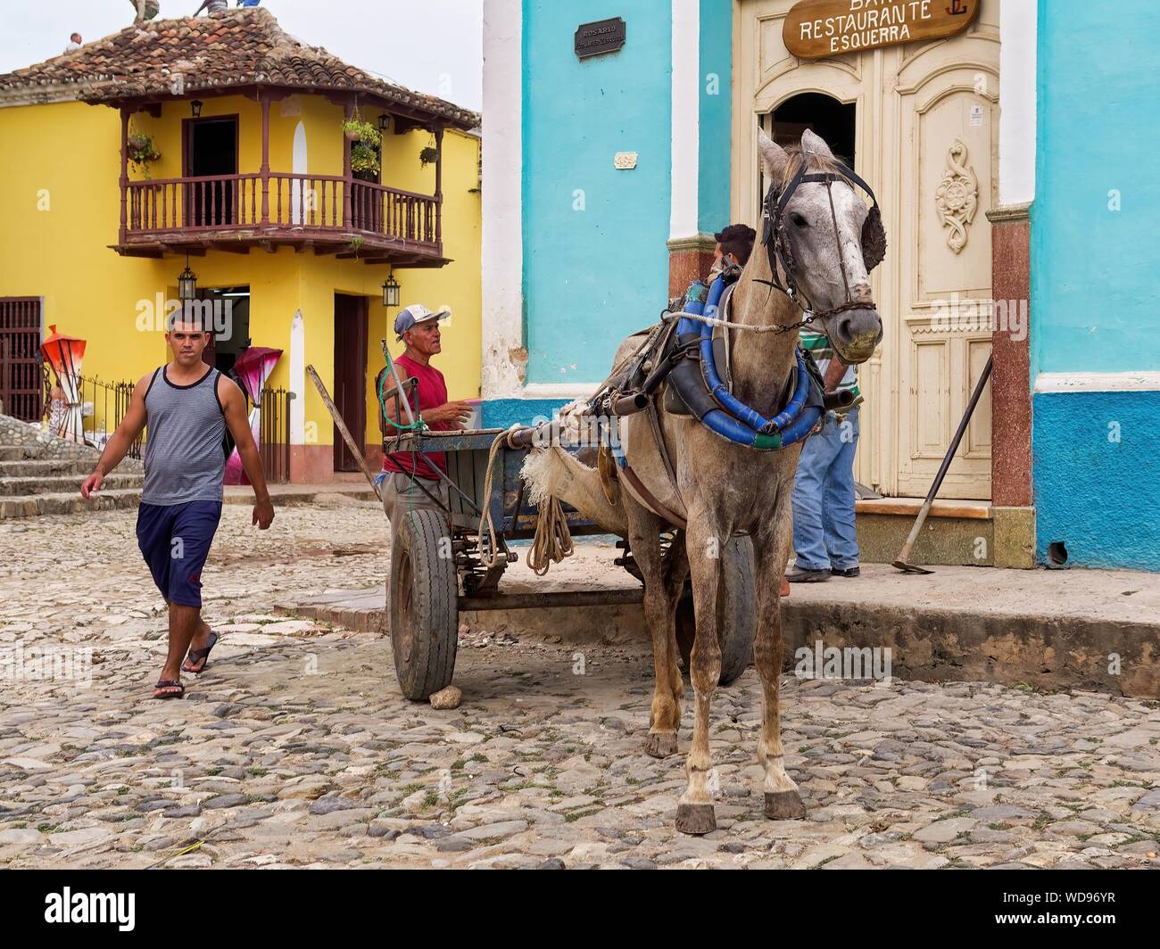 TRINIDAD, Kuba - May 05, 2013: ein braunes dünnes Pferd mit einer Beförderung auf einem Kopfsteinpflaster in der Nähe von Menschen und Häuser Stockfoto