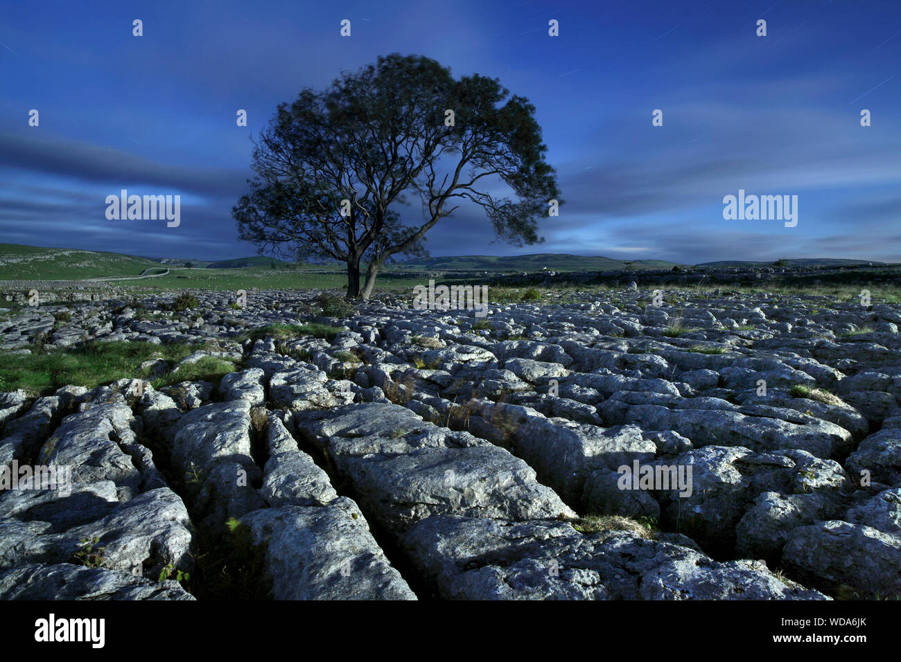 Ein Kalkstein Pflaster fotografiert in der Nacht vom Licht der Vollmond, in der Nähe von Malham, Yorkshire Dales National Park. Stockfoto