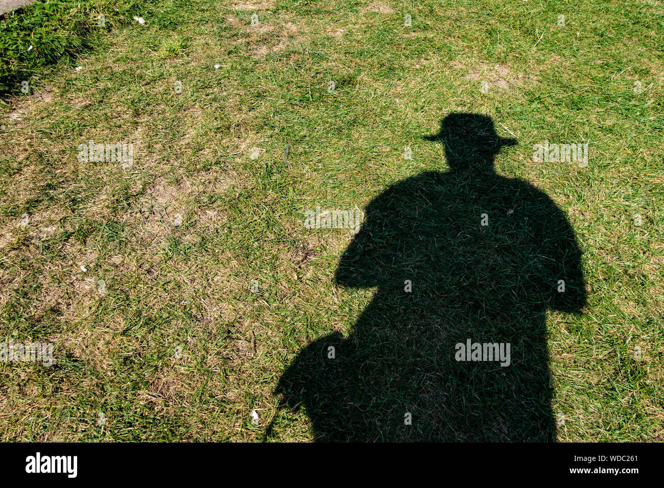 Der Schatten eines Menschen auf einem Gras bedeckten Boden. Stockfoto