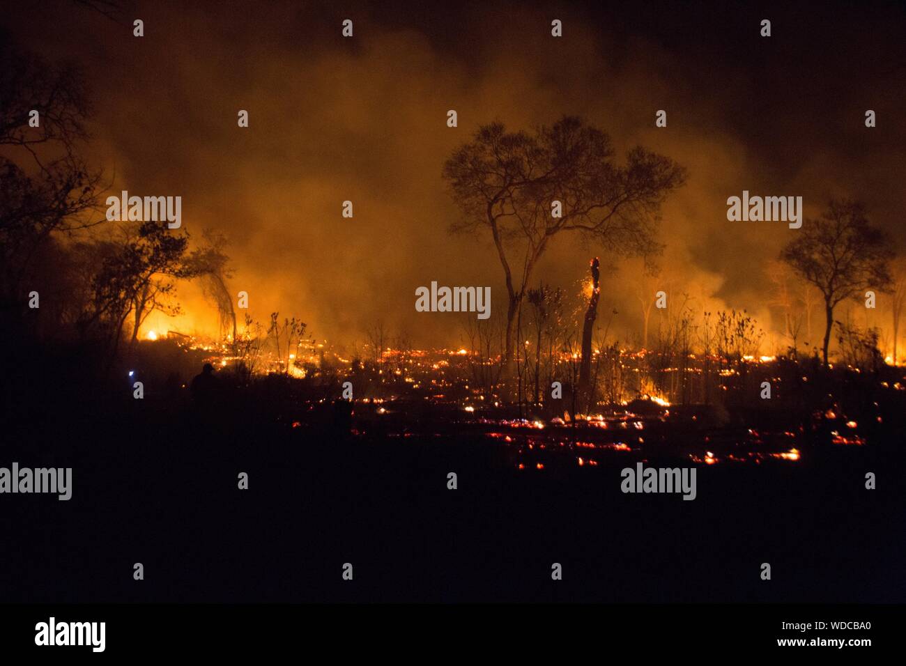 Santa Rosa De Tucabaca, Bolivien. 28 Aug, 2019. Ein Stück Wald brennt in der Chiquitania Wald in Santa Rosa de Tucabaca. Den Einsatzkräften im Osten Boliviens weiterhin die verheerenden Waldbrände zu enthalten. Credit: Gaston Brito/dpa/Alamy leben Nachrichten Stockfoto