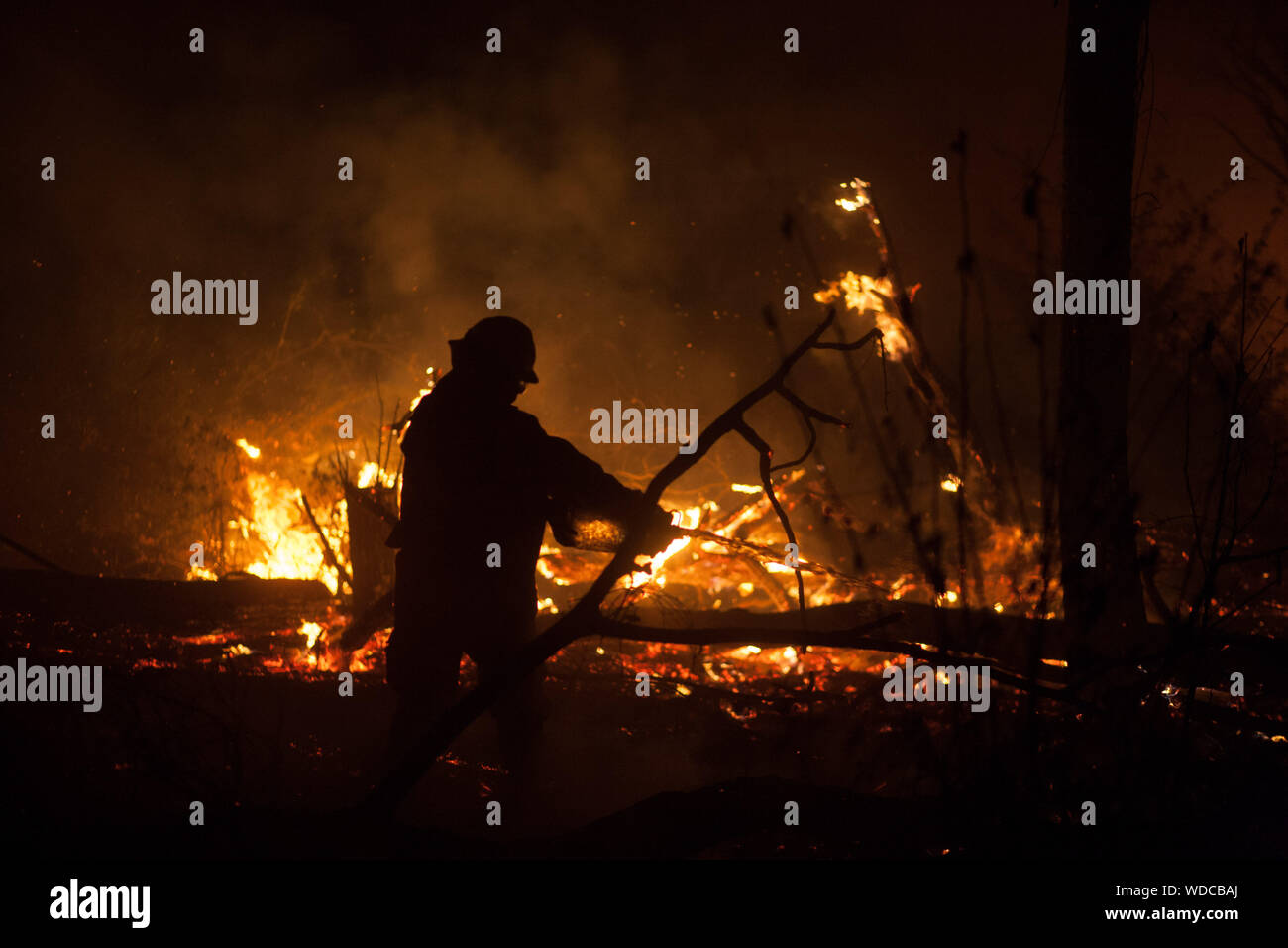 Santa Rosa De Tucabaca, Bolivien. 28 Aug, 2019. Ein Feuerwehrmann löscht ein Feuer in der Chiquitania Wald in Santa Rosa de Tucabaca mit Wasser aus einem Plastikkanister. Den Einsatzkräften im Osten Boliviens weiterhin die verheerenden Waldbrände zu enthalten. Credit: Gaston Brito/dpa/Alamy leben Nachrichten Stockfoto