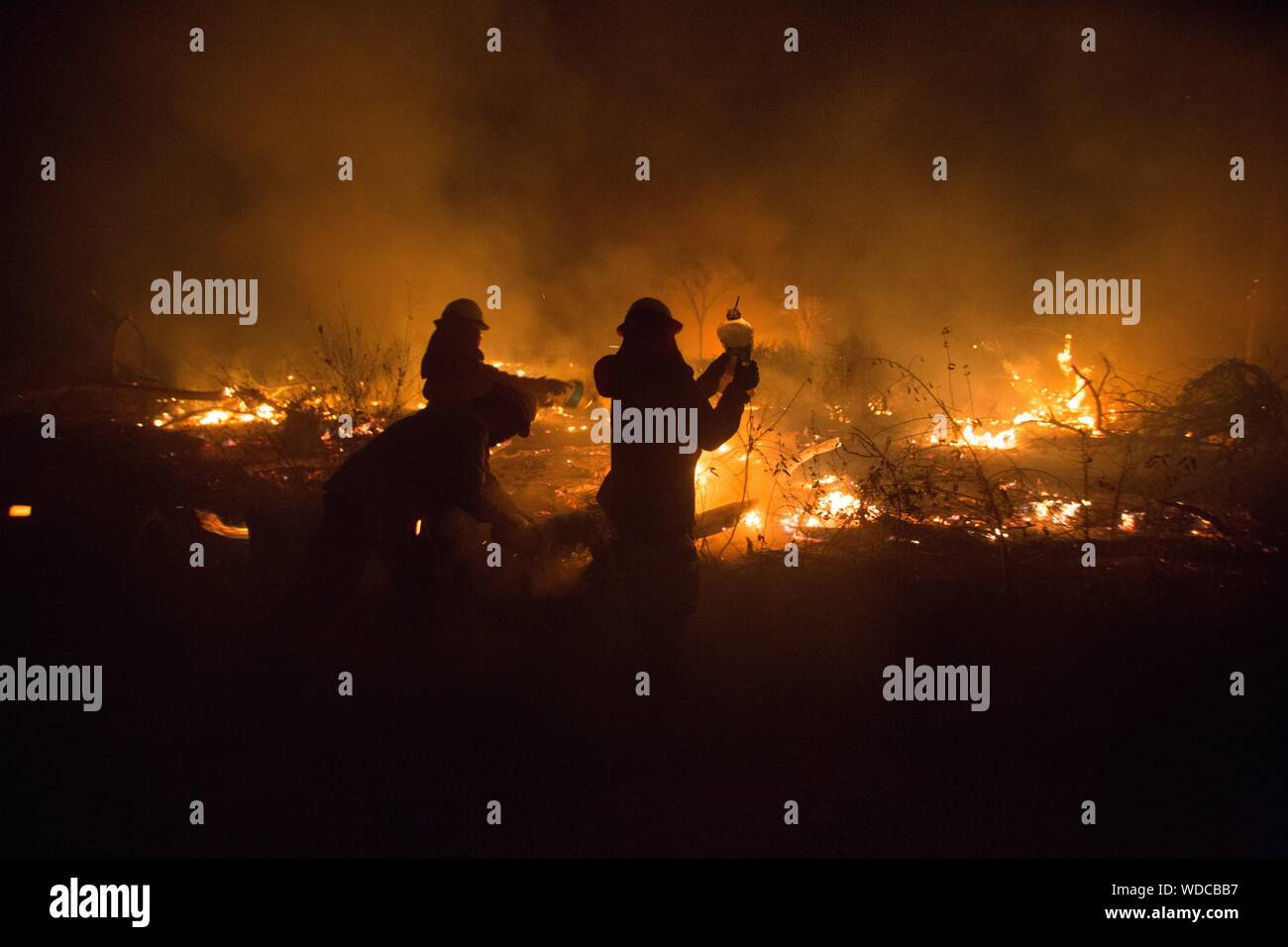 Santa Rosa De Tucabaca, Bolivien. 28 Aug, 2019. Feuerwehrmänner löschen Brände in der Chiquitania Wald in Santa Rosa de Tucabaca mit Wasser aus Kunststoff Kanister. Den Einsatzkräften im Osten Boliviens weiterhin die verheerenden Waldbrände zu enthalten. Credit: Gaston Brito/dpa/Alamy leben Nachrichten Stockfoto