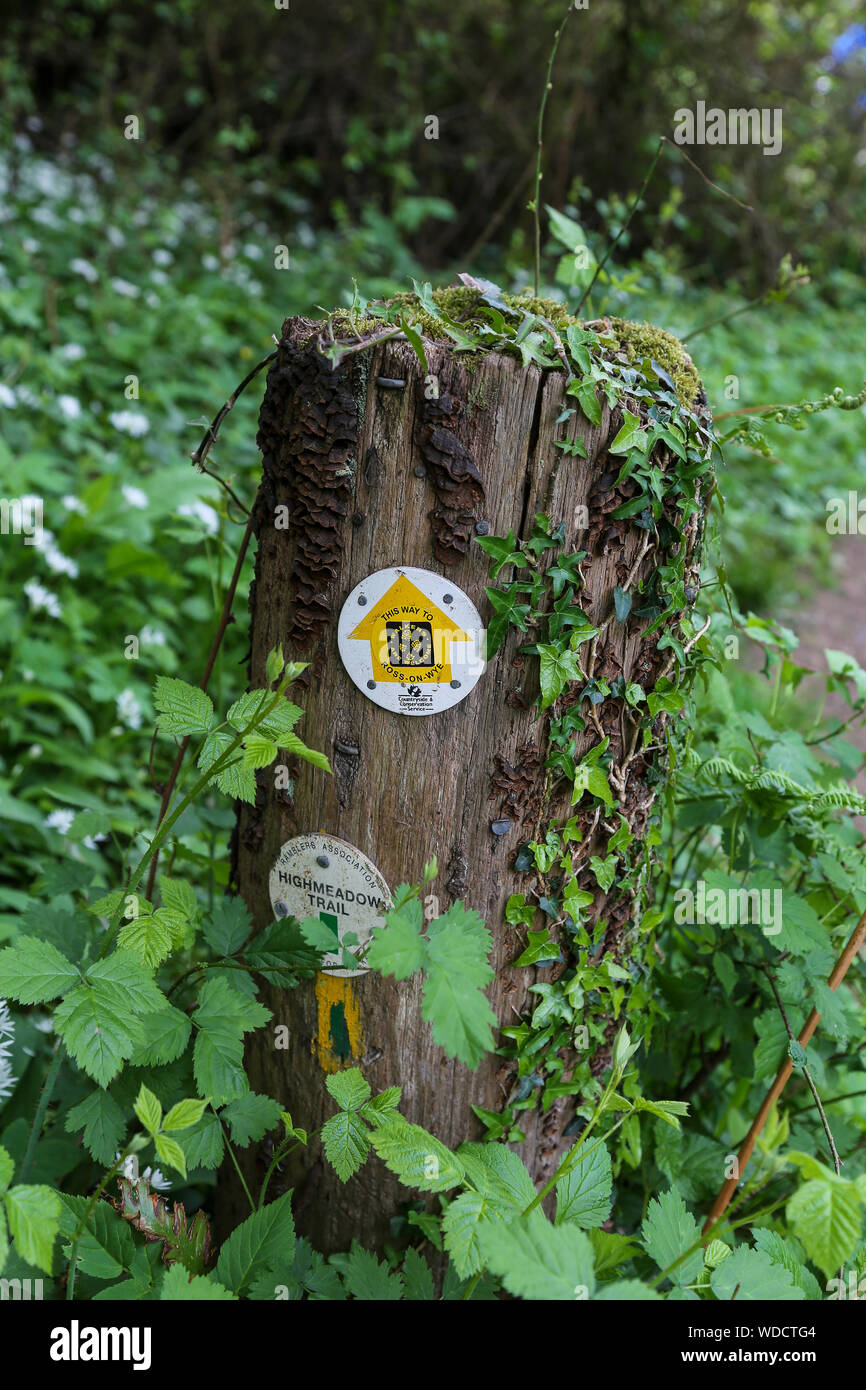 Ein Wegweiser auf dem highmeadow Trail, eine kreisförmige Wald im Westen des Waldes von Dean, Ross on Wye, Herefordshire, England, Großbritannien Stockfoto