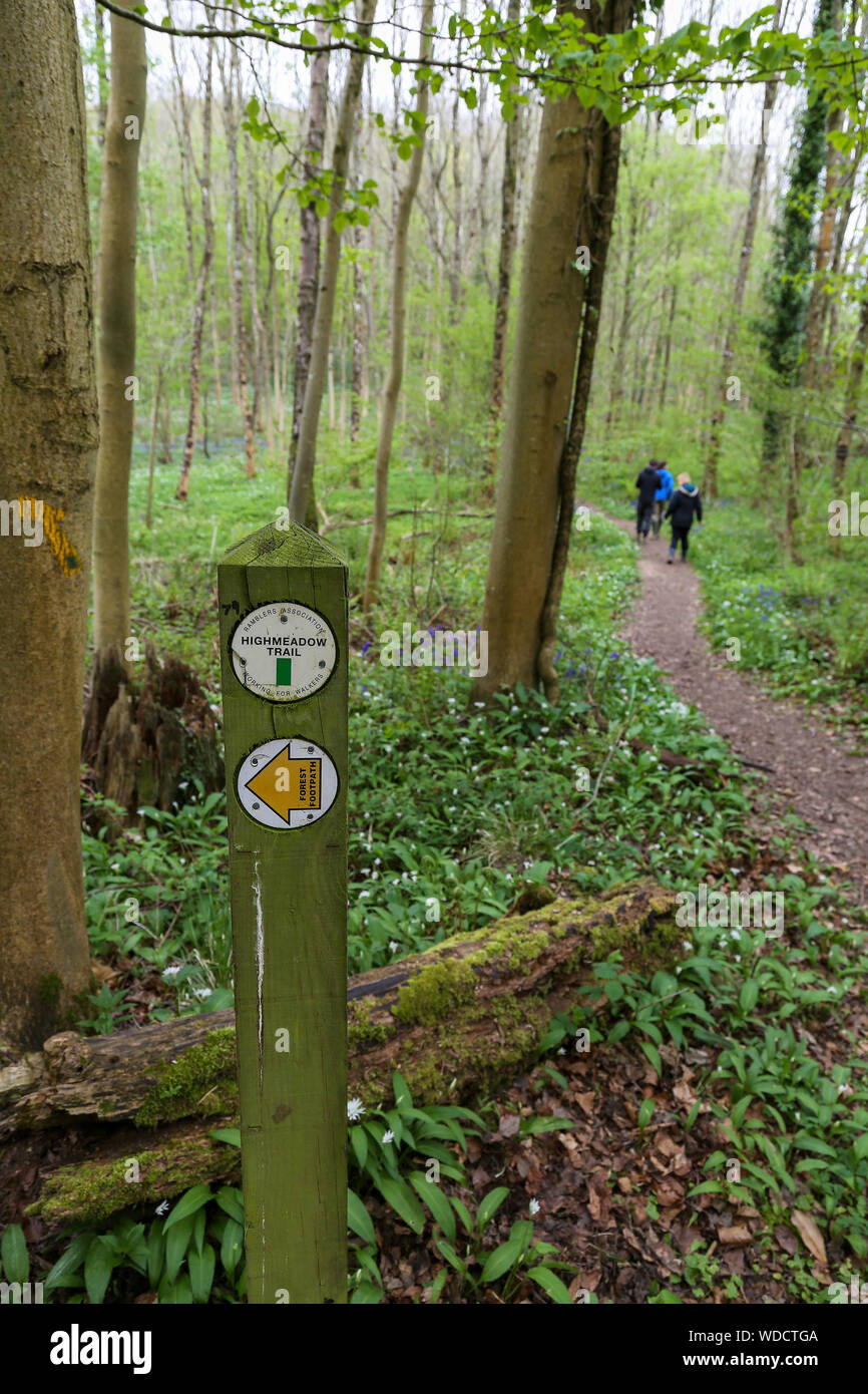 Ein Wegweiser auf dem highmeadow Trail, eine kreisförmige Wald im Westen des Waldes von Dean, Ross on Wye, Herefordshire, England, Großbritannien Stockfoto
