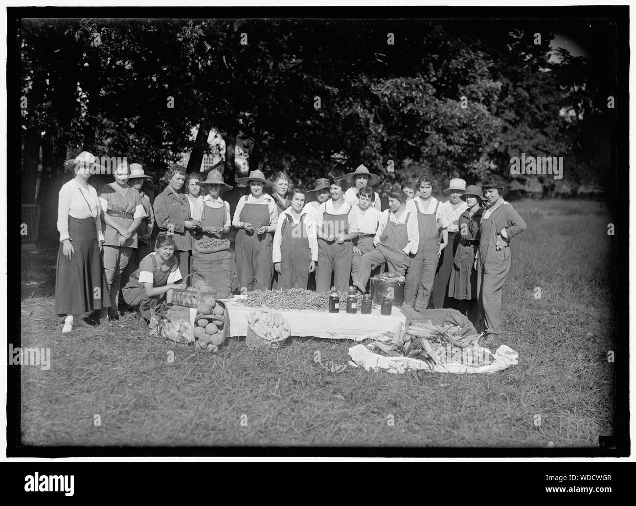 GIRL SCOUTS. FARMERETTES ERNTE Abstract / Medium: 1 Negativ: Glas 5 x 7 in. oder kleiner Stockfoto